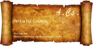 Antaly Csaba névjegykártya